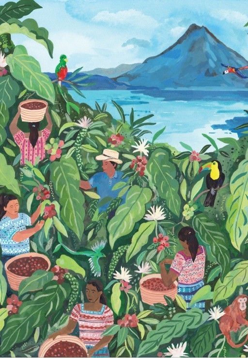 Puzzle Guatemala - 1000 pièces