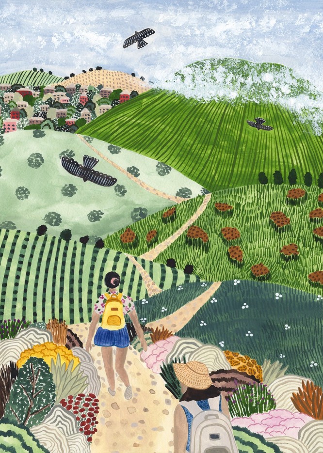 Puzzle Randonnée dans les Vignes - 1000 pièces