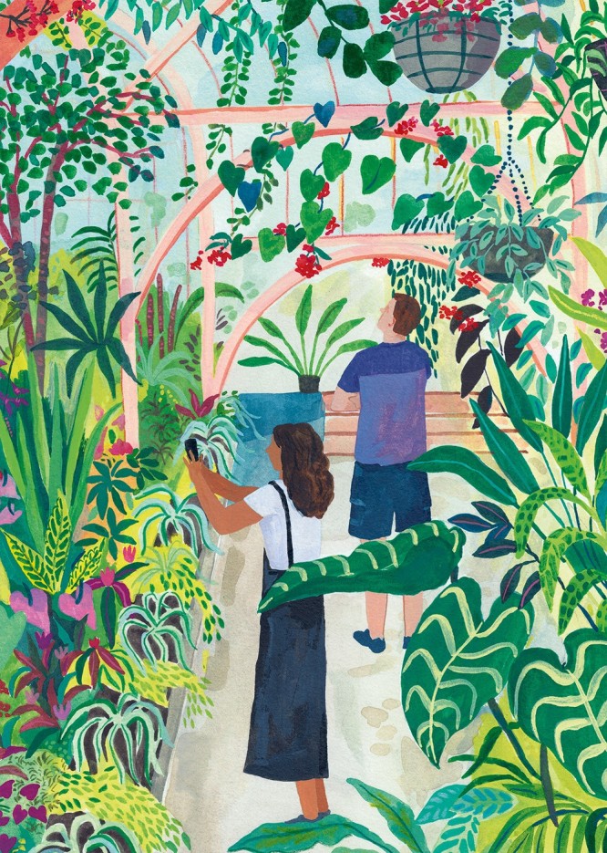 Puzzle Jardin Botanique - 1500 pièces