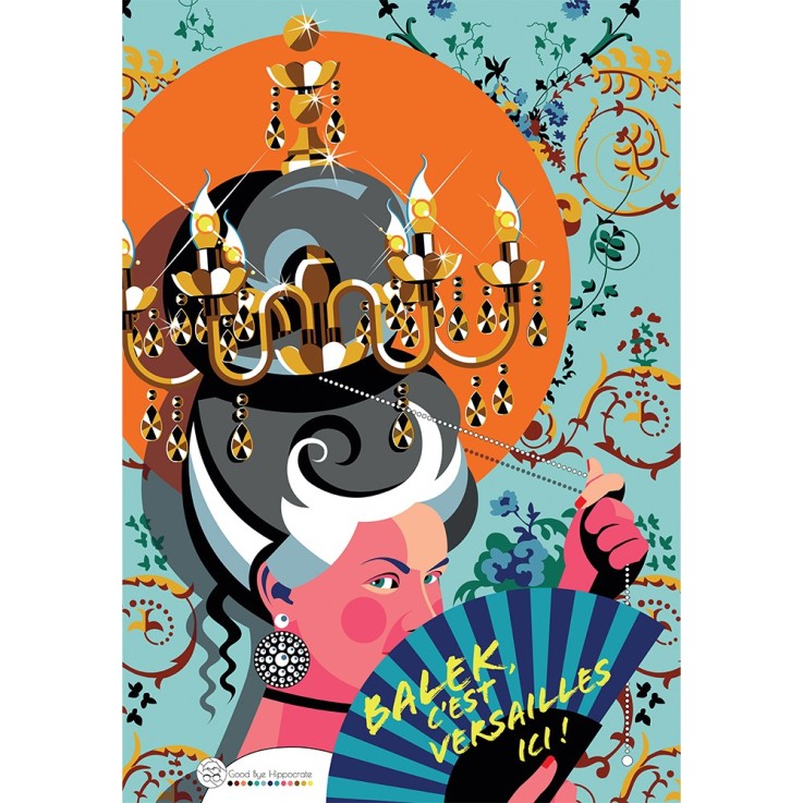 Puzzle Balek, c'est Versailles ici - 1000 pièces