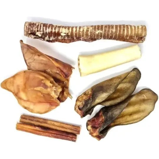 Box Friandises de Mastication - Super Résistante