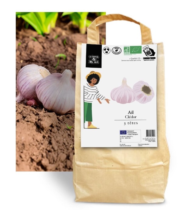 Ail Rose Clédor