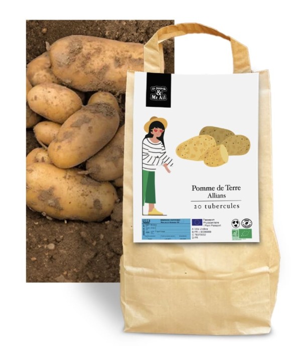 Pomme de terre Allians