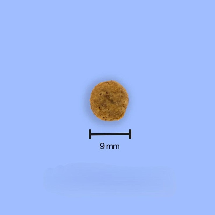 Tomojo - Croquettes aux Insectes Sans Céréales pour Chat