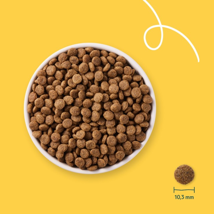 Yarrah - Croquettes Biologiques Sans Blé Poulet & Poisson pour Chat et Chaton