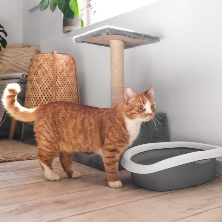 Felichef - Litière Bio 100% végétale