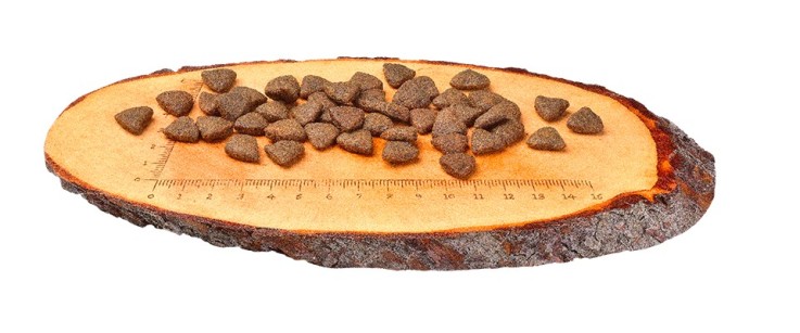 Carnilove - Croquettes Sans Céréales Saumon pour Chien