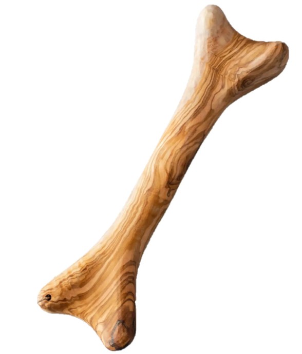 Cernunos - Bois d'Olivier...