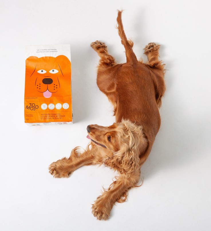 Tomojo - Croquettes aux Insectes Sans Céréales pour Chien