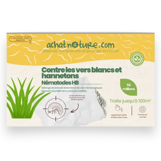 Nématodes HB contre vers blancs et hannetons - 50 millions - 100 m²