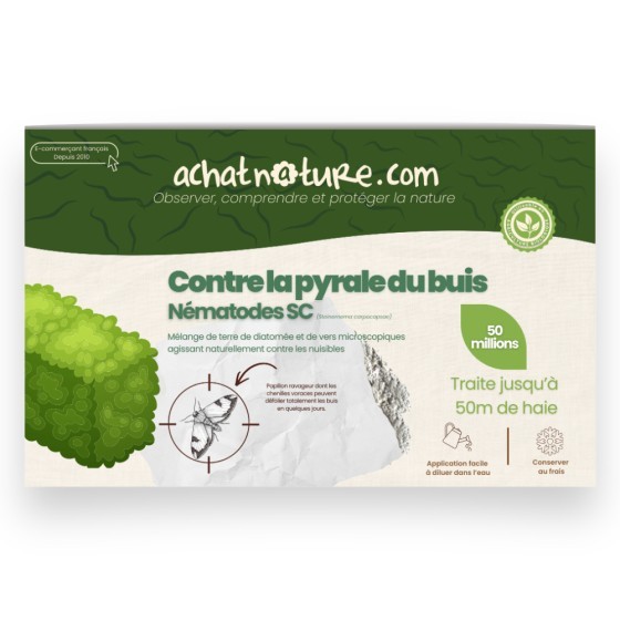 Nématodes SC contre pyrale du buis - 50 millions - 50 mètres de haie