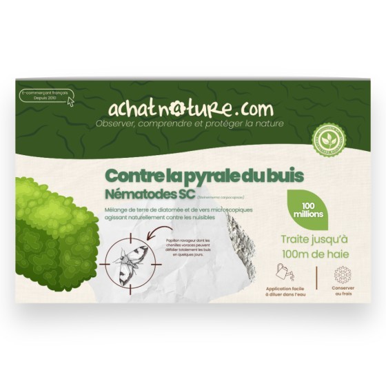 Nématodes SC contre pyrale du buis - 100 millions - 100 mètres de haie