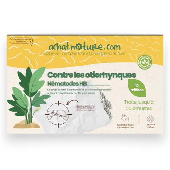 Nématodes HB contre otiorhynques - 10 millions - 20 arbustes