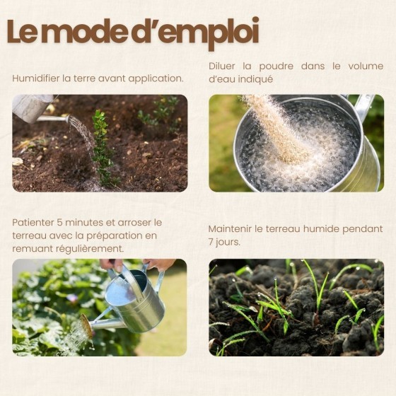 Nématodes SF contre fourmis - 100 millions - 200 m²