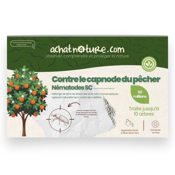 Nématodes SC contre capnode du pêcher - 50 millions - 10 arbres