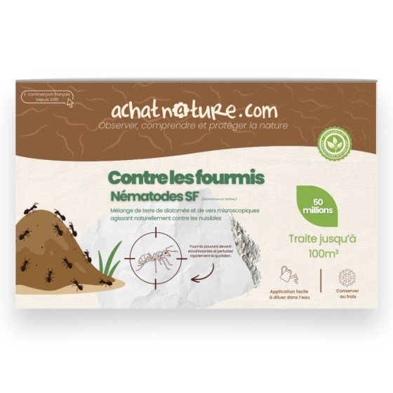 Nématodes SF contre fourmis - 50 millions - 100 m²