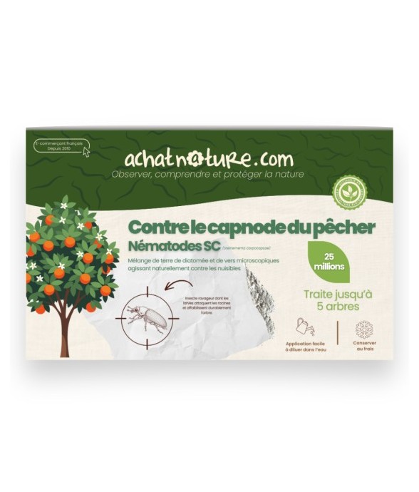 Nématodes SC contre capnode...