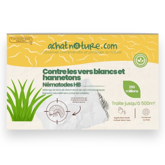 Nématodes HB contre vers blancs et  hannetons - 250 millions - 500 m²