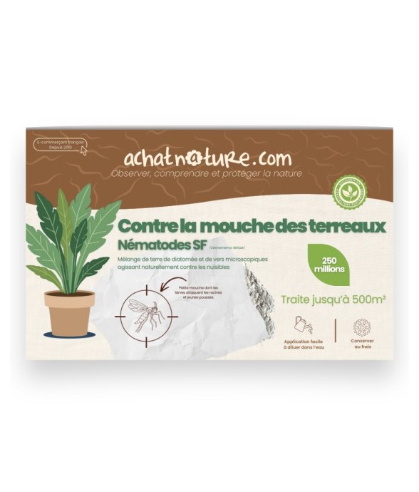 Nématodes SF contre mouches...