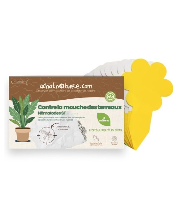 Nématodes SF contre mouches...