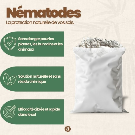 Nématodes SF contre mouches des terreaux (3 millions) + 10x pièges jaunes