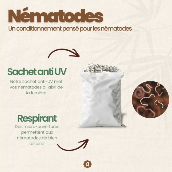Nématodes SF contre mouches des terreaux (3 millions) + 10x pièges jaunes