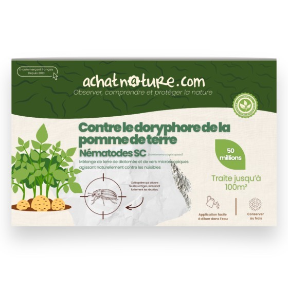 Nématodes SC contre doryphore de la pomme de terre - 50 millions - 100 m²