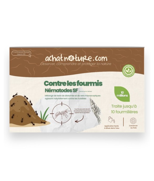 Nématodes SF contre fourmis...