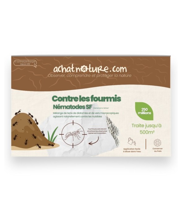 Nématodes SF contre fourmis...