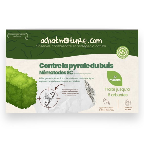 Nématodes SC contre pyrale du buis - 10 millions - 6 arbustes