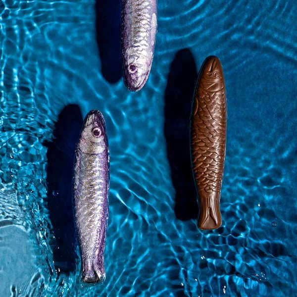 Filet de sardines en chocolat au lait - Filet de 6 sardines (90g)