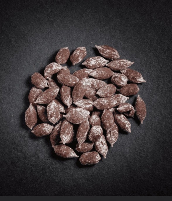 Grignottes au noix (105g)