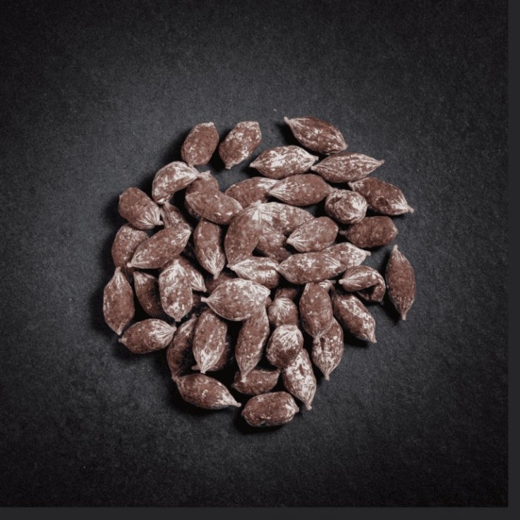 Grignottes à la truffe (500g)