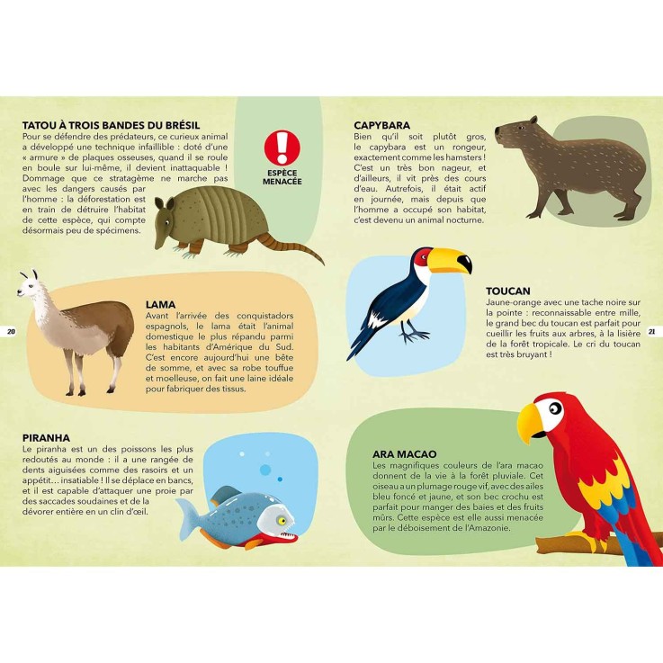 Coffret Mini Espèces menacées : Livre & Puzzle