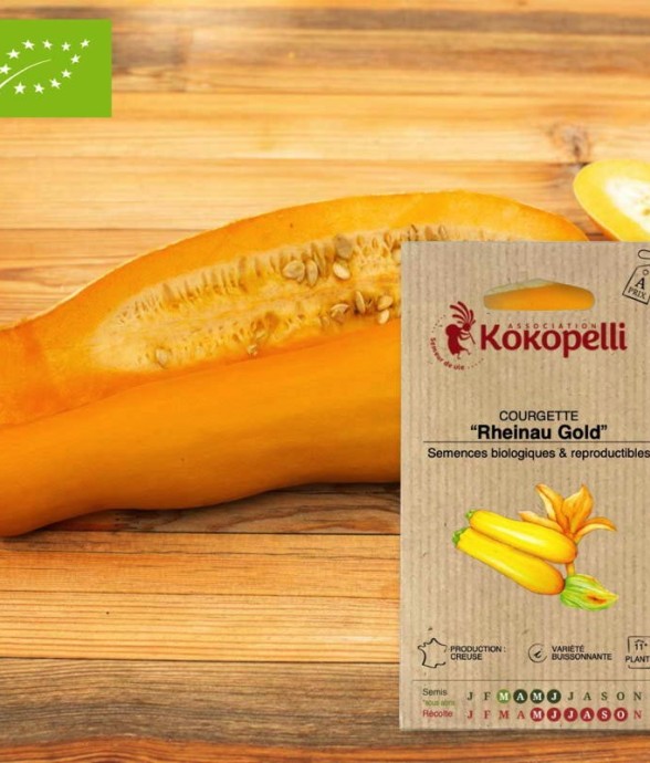 Courgette Rheinau Gold-...