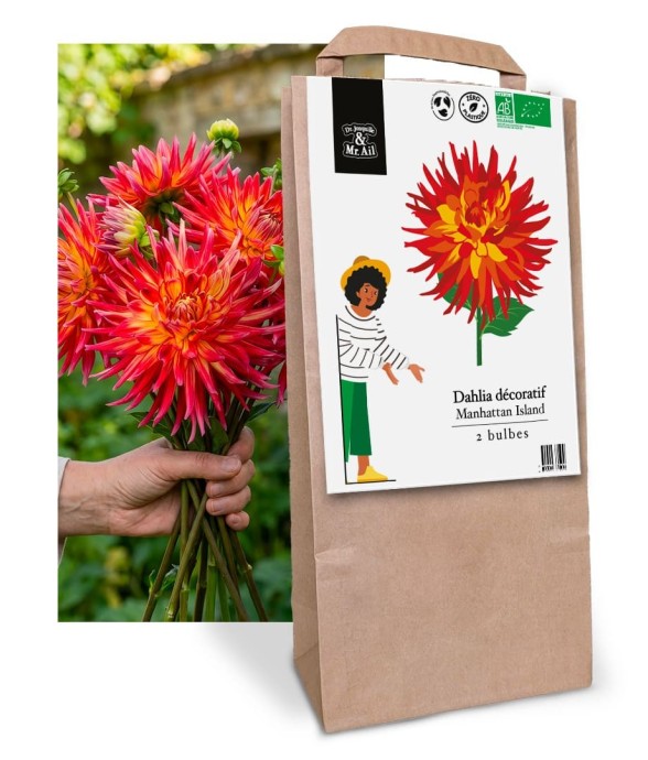 Bulbes à Fleurs Bio -...