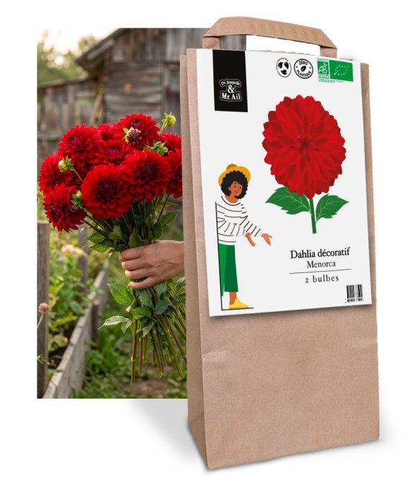 Bulbes à Fleurs Bio -...