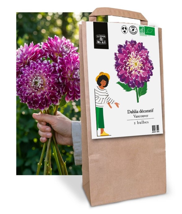 Bulbes à Fleurs Bio -...
