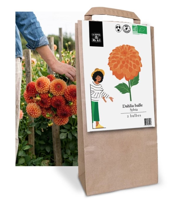 Bulbes à Fleurs Bio -...
