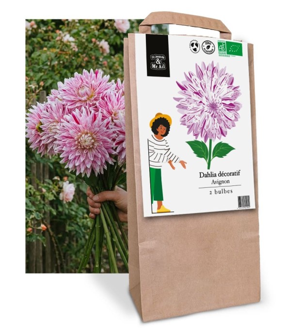 Bulbes à Fleurs Bio -...