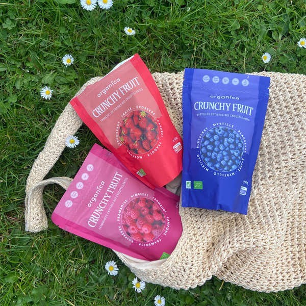 Crunchy Fruit - Myrtille sauvage lyophilisée bio - Sachet de 16g