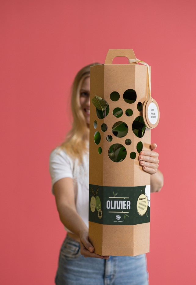 Olivier - Arbre à planter
