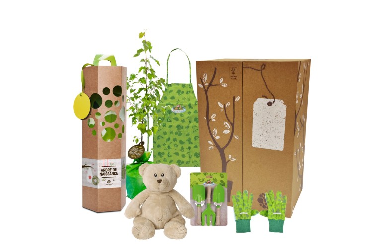 Coffret Arbre Ginkgo de Naissance à planter