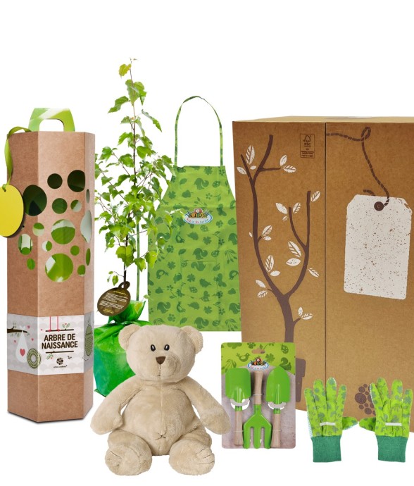 Coffret Arbre Ginkgo de...