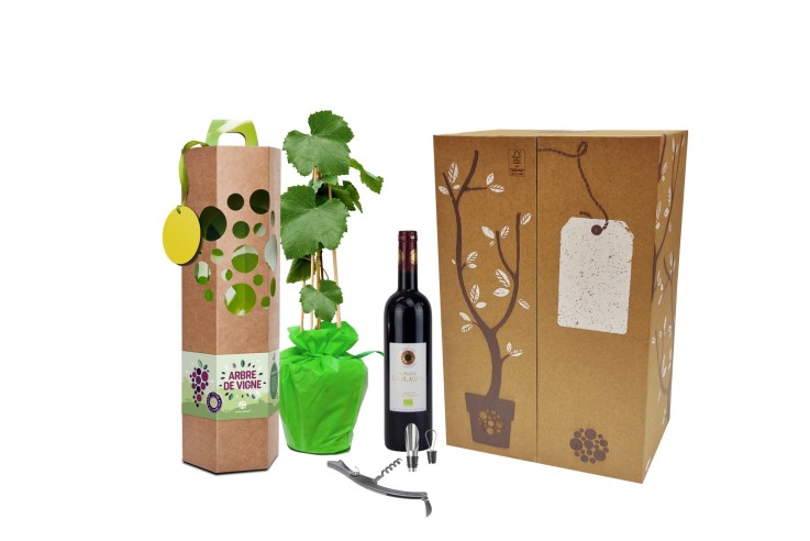 Coffret Arbre de Vigne à planter et Vin rouge Bio