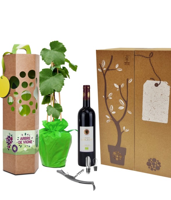 Coffret Arbre de Vigne à...