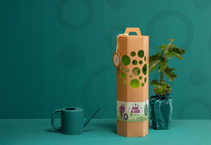Vigne - Arbre à planter