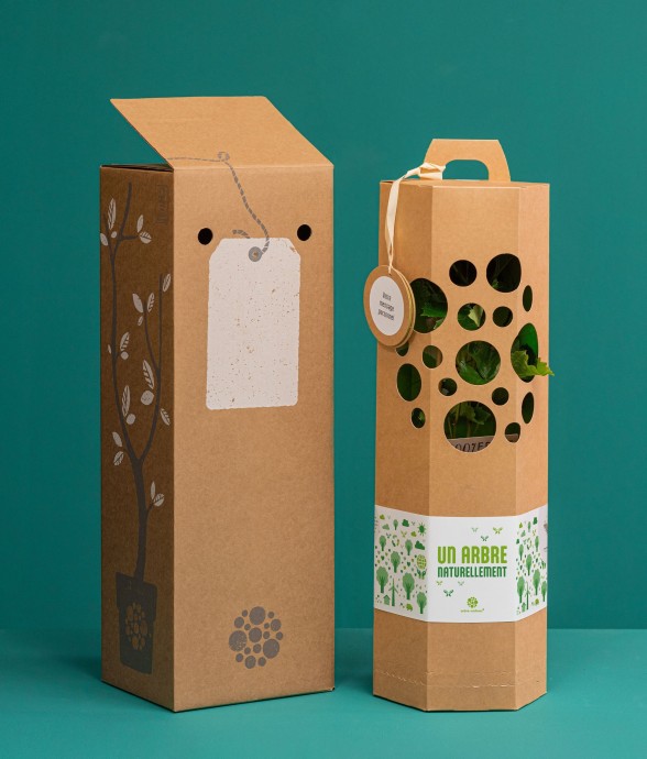 Noisetier – Arbre à planter