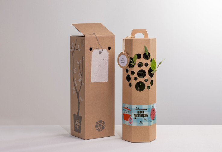 Laurier sur Tige – Arbre à planter