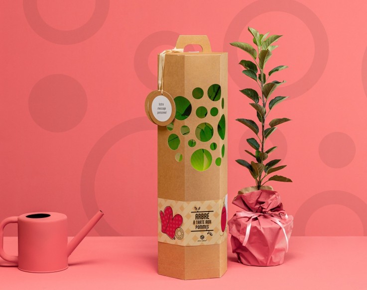 Pommier Tarte aux Pommes – Arbre à planter